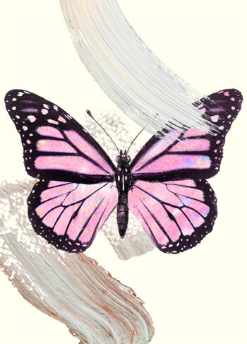 butterfly-creme-luxery